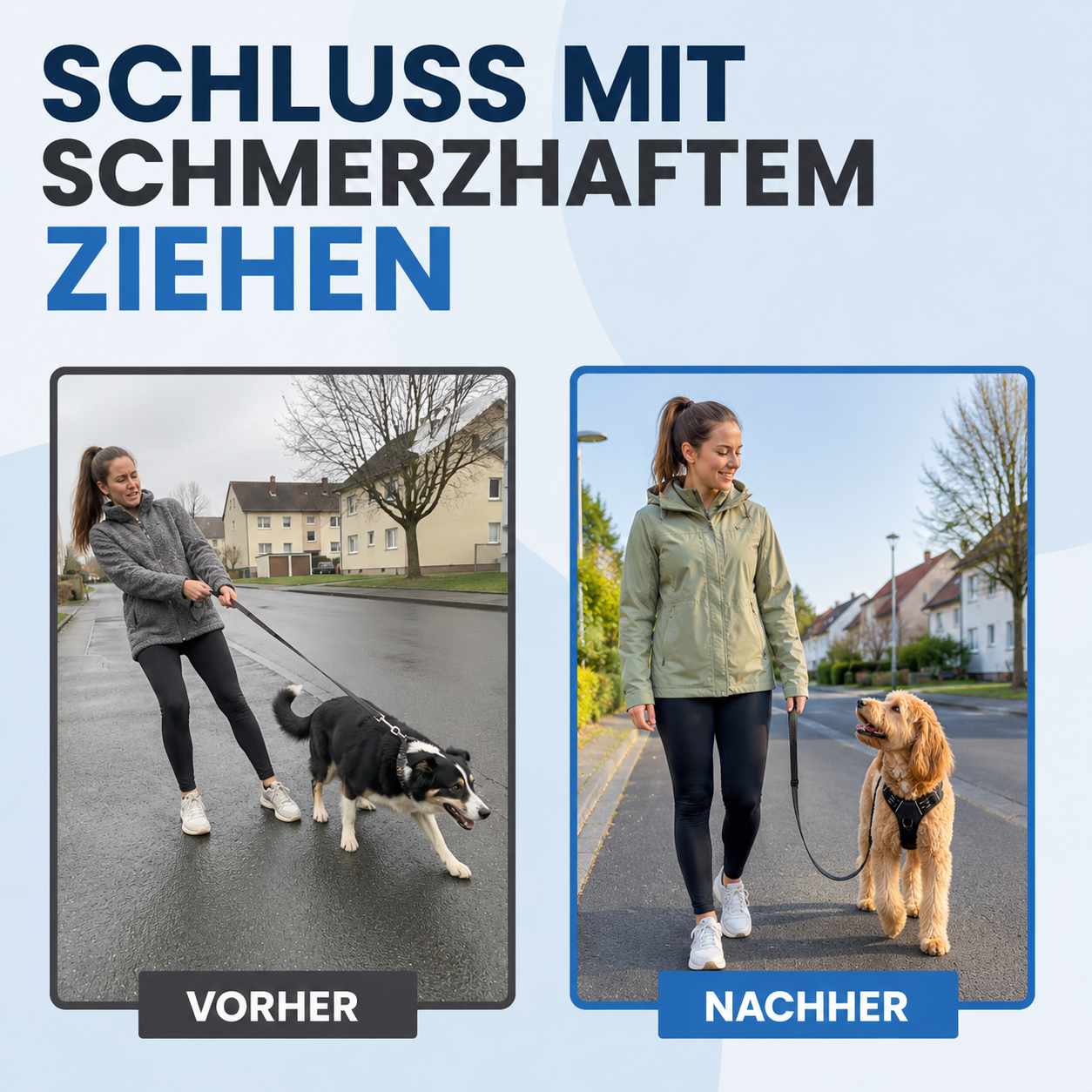 Anti-Zug-Geschirr